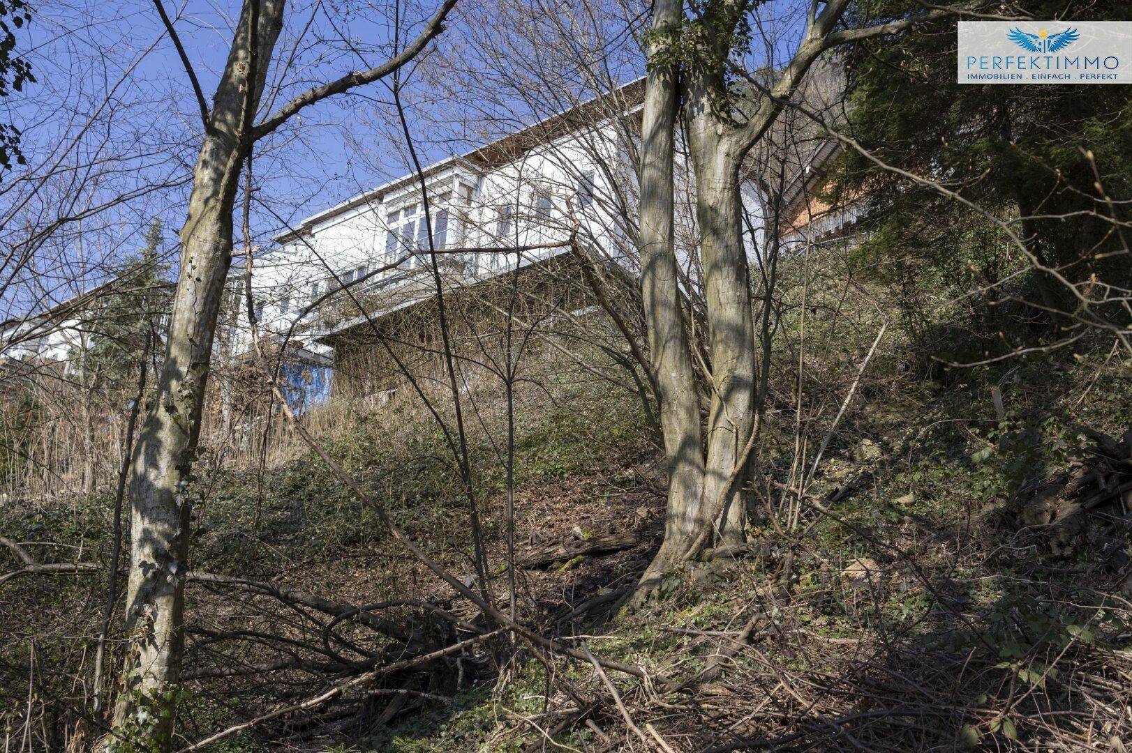 Blick auf ein weißes Gebäude auf einem bewaldeten Hang, umgeben von kahlen Bäumen und dichtem Unterholz.