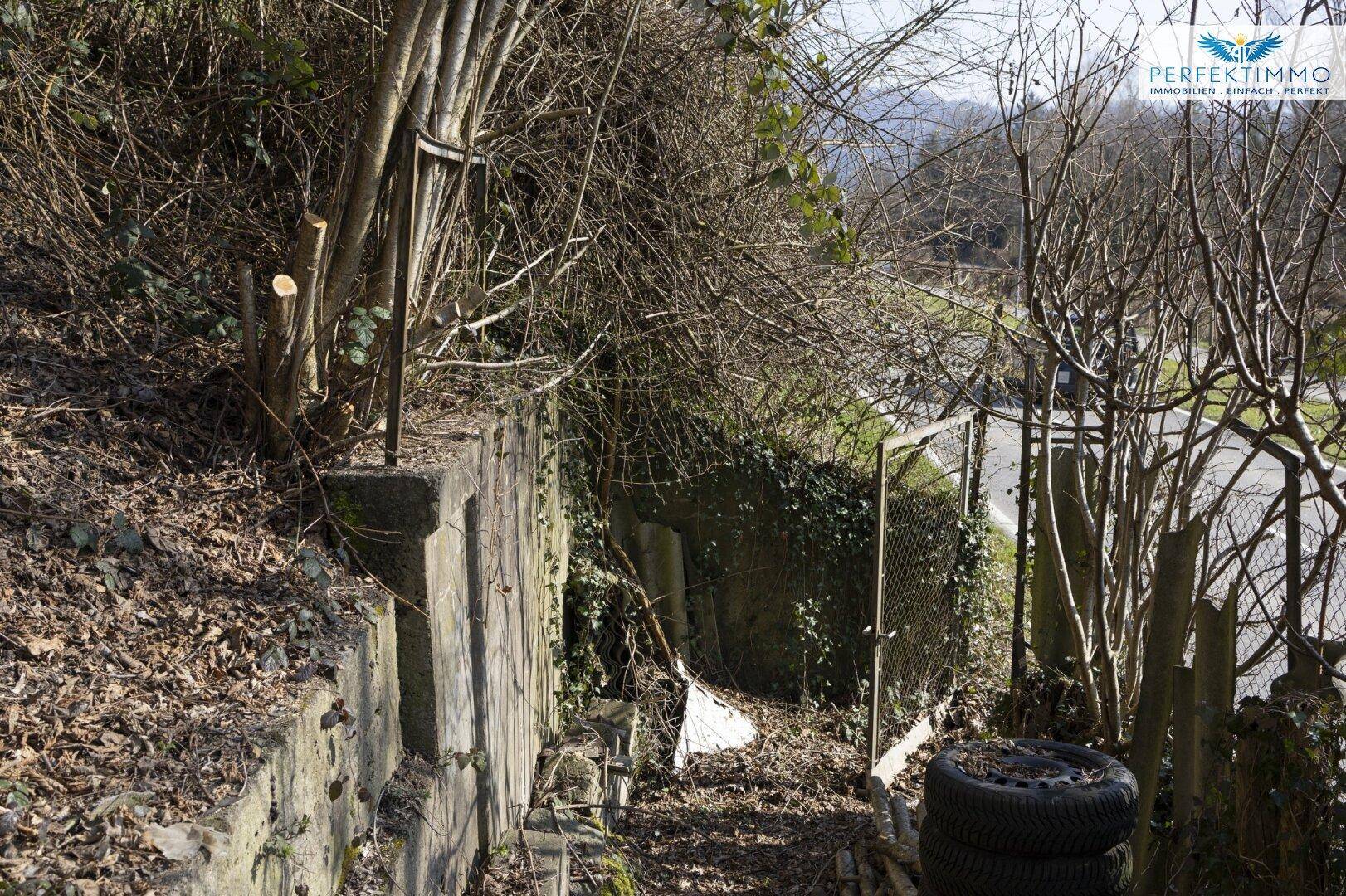 Eine alte Stützmauer mit Zaun und überwucherter Vegetation, die zu einer Straße in der Ferne führt.