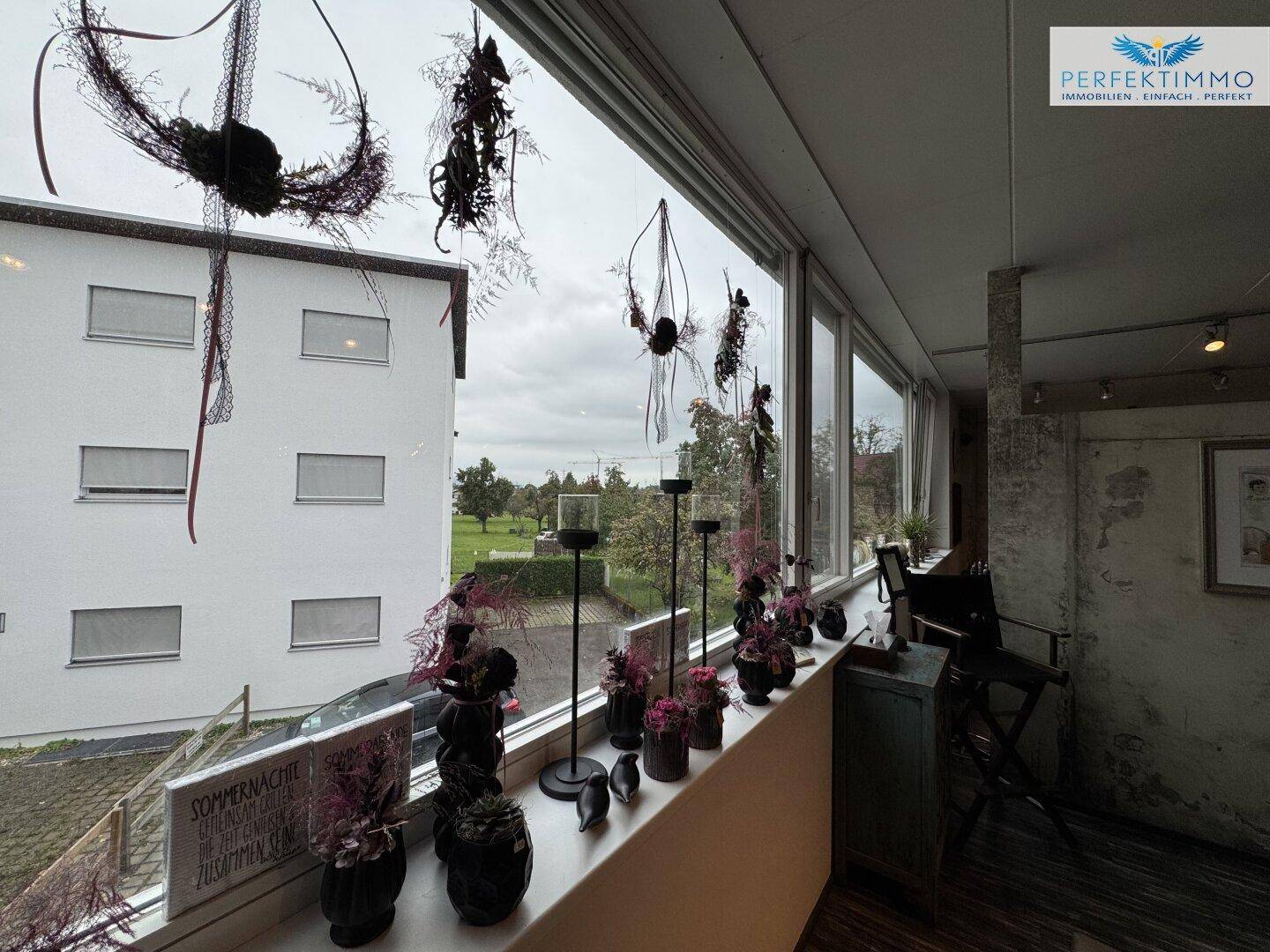 Nahaufnahme der großen Fenster im Salon mit Blick auf ein Gebäude und Grünflächen.