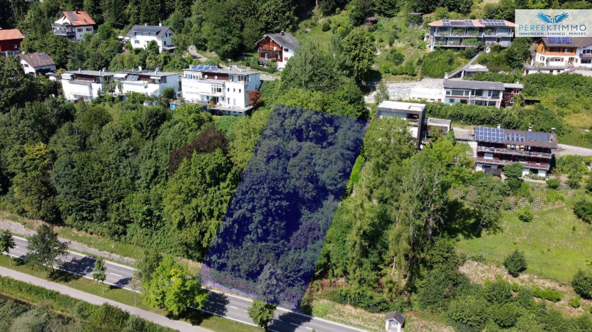 Luftaufnahme eines bewaldeten Grundstücks mit umliegenden Häusern und einer Straße, ideal für ein Bauprojekt.