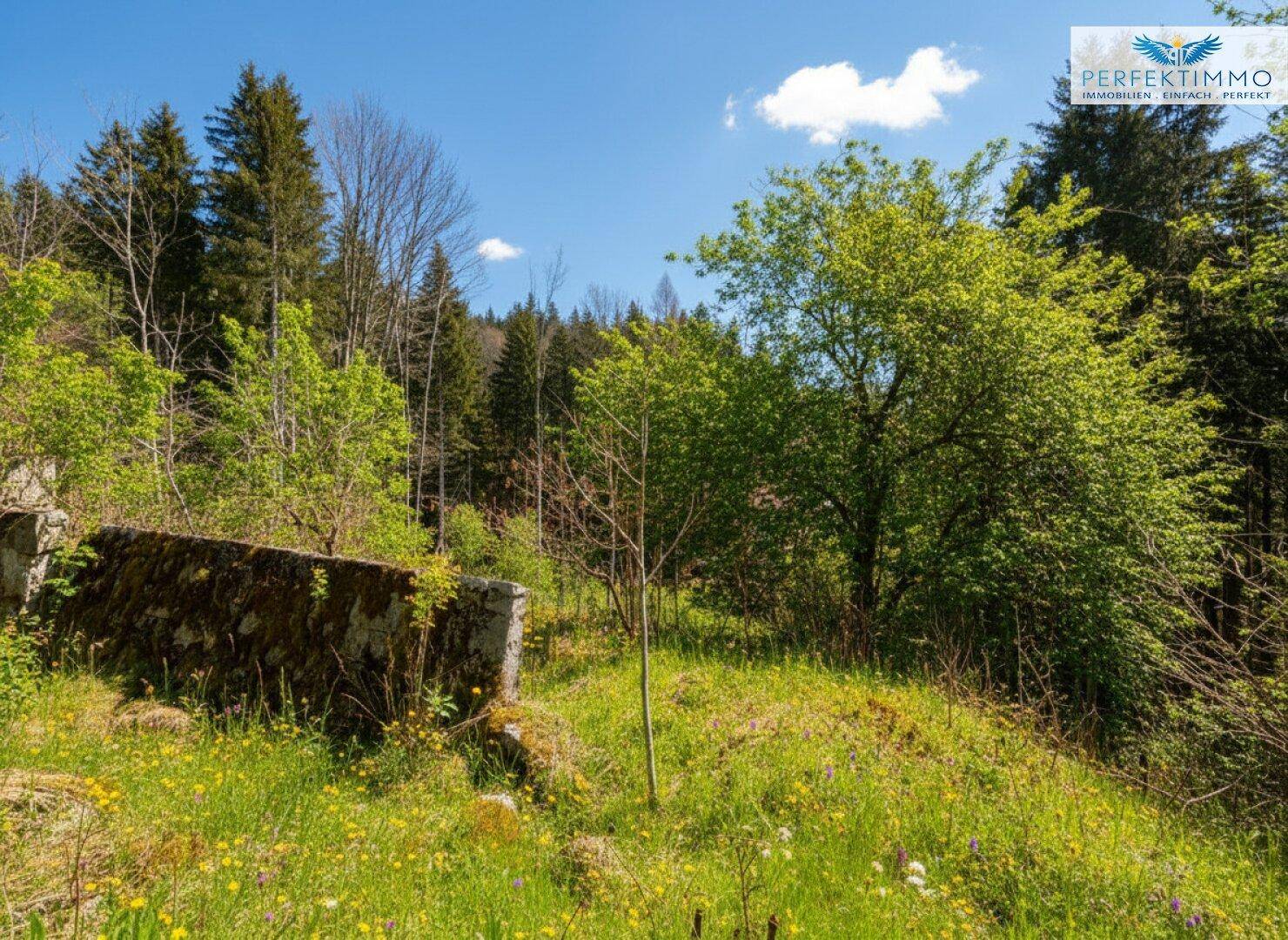 Einzigartige Gelegenheit: Grundstück in Höttinger Exklusivlage - Ansicht 6