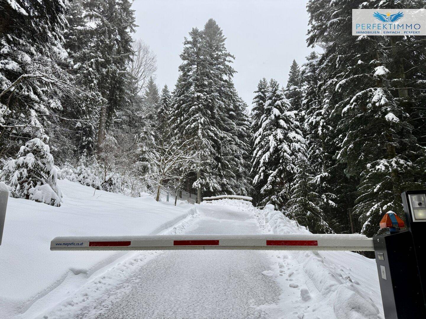 Verschneite Zufahrtsstraße mit Schranke, umgeben von dichten, schneebedeckten Nadelbäumen im Winter.