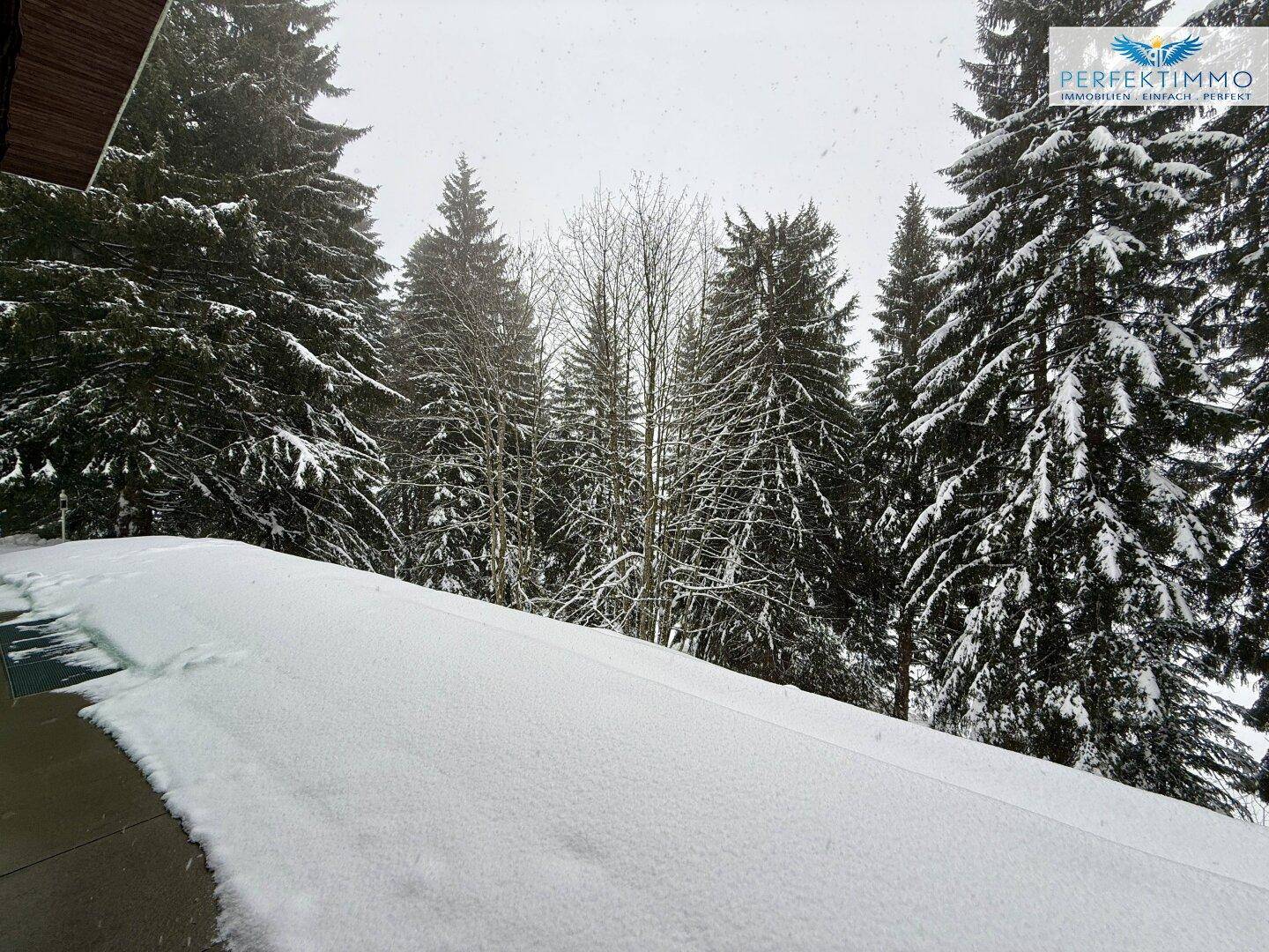 Winterlicher Ausblick von einem schneebedeckten Balkon auf dichte, verschneite Tannenwälder.