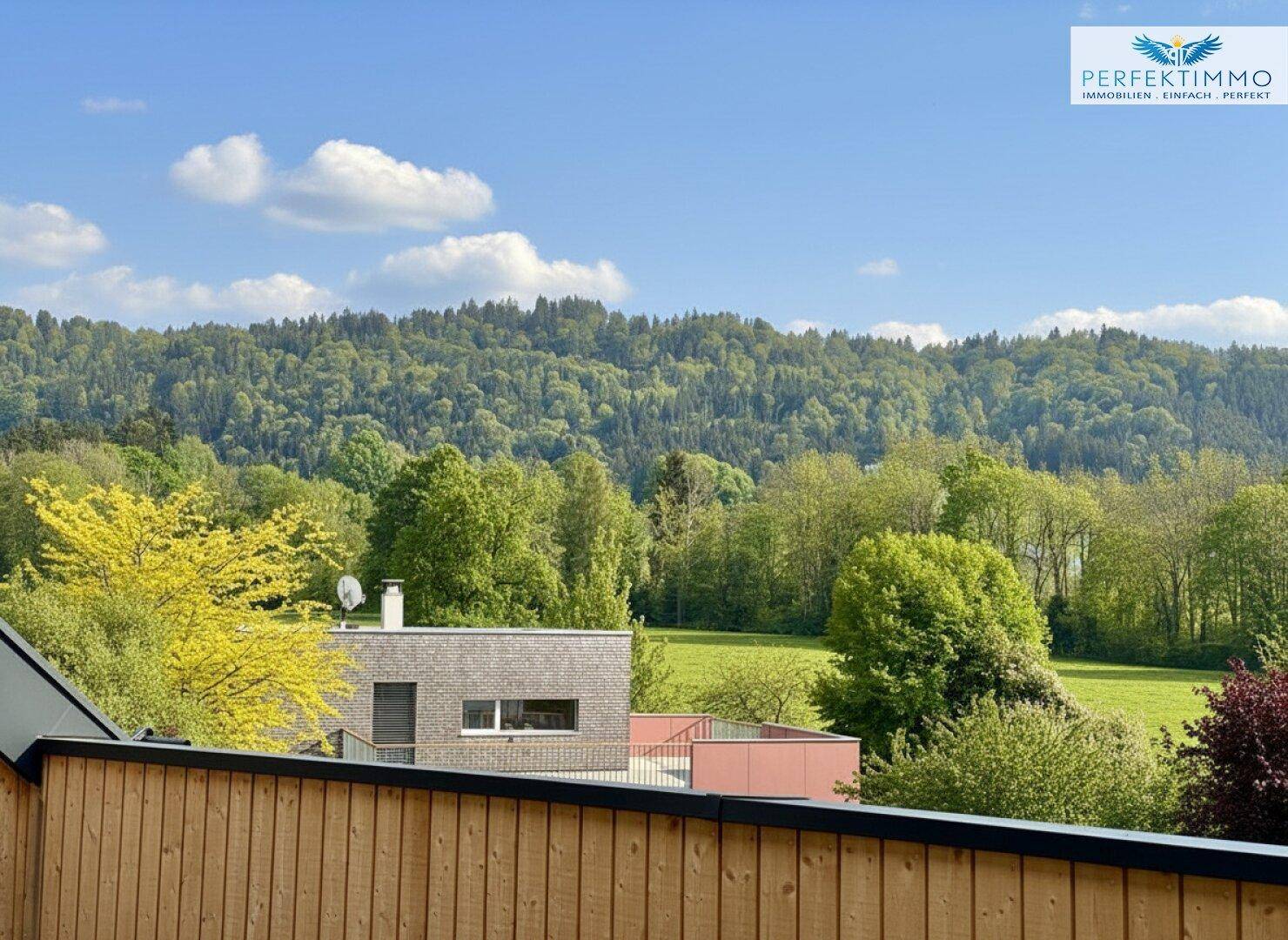 Panoramablick auf eine grüne Hügellandschaft mit Wäldern und Wiesen von der Immobilie aus.
