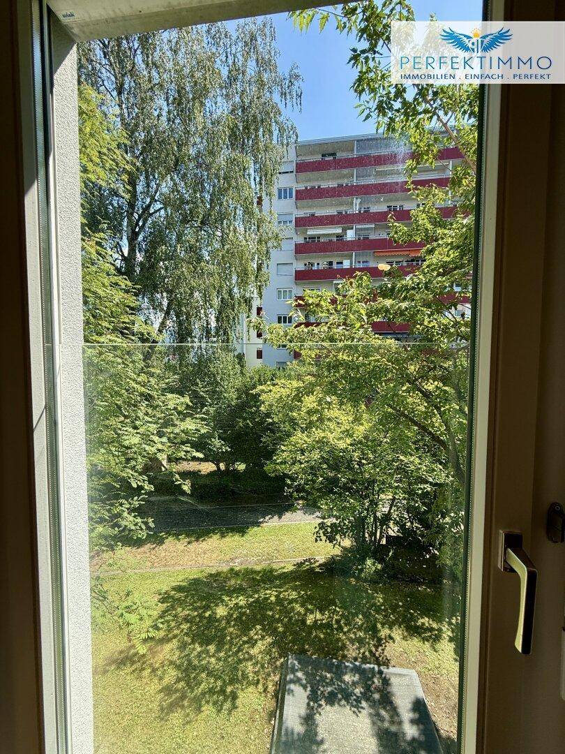 Blick aus dem Fenster auf grüne Bäume und ein gegenüberliegendes Wohngebäude.
