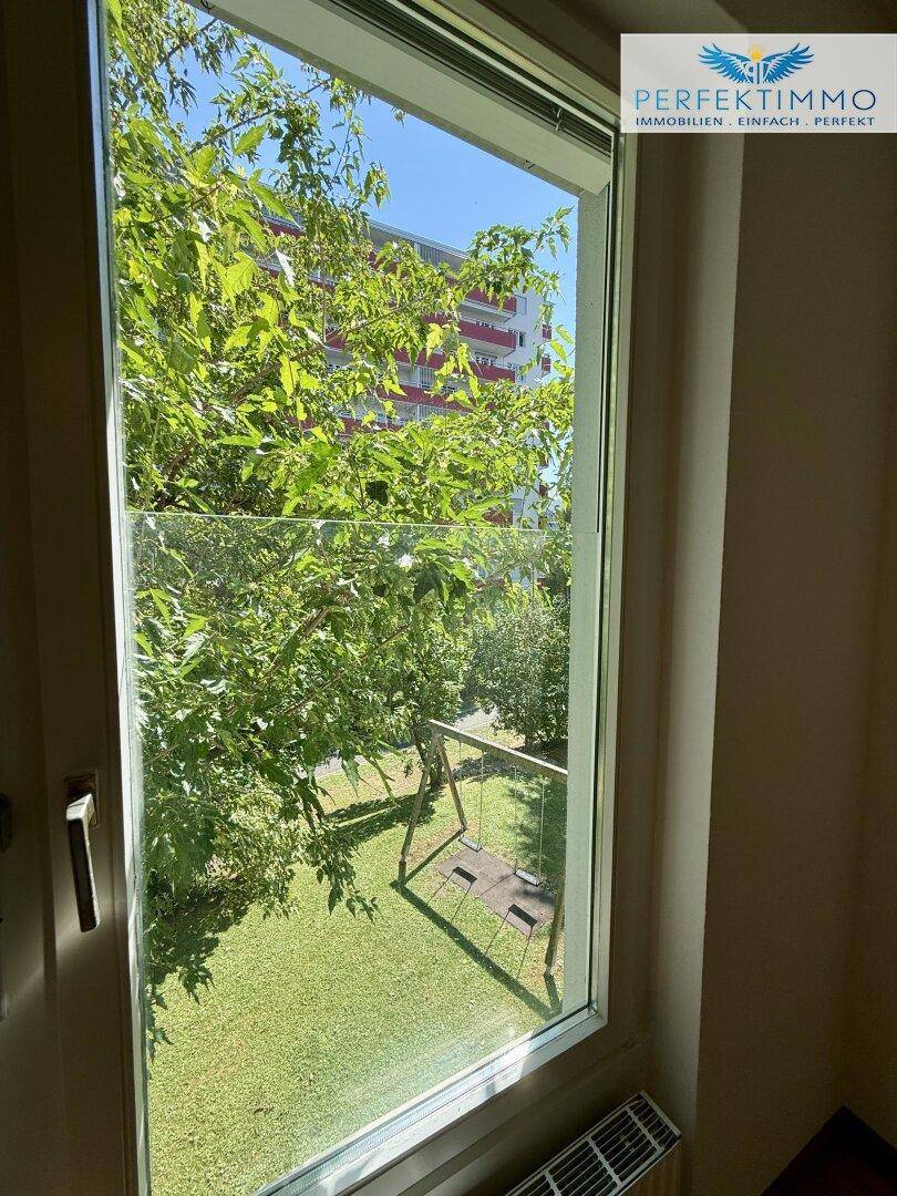 Blick aus dem Fenster auf einen grünen Gartenbereich mit Schaukel.