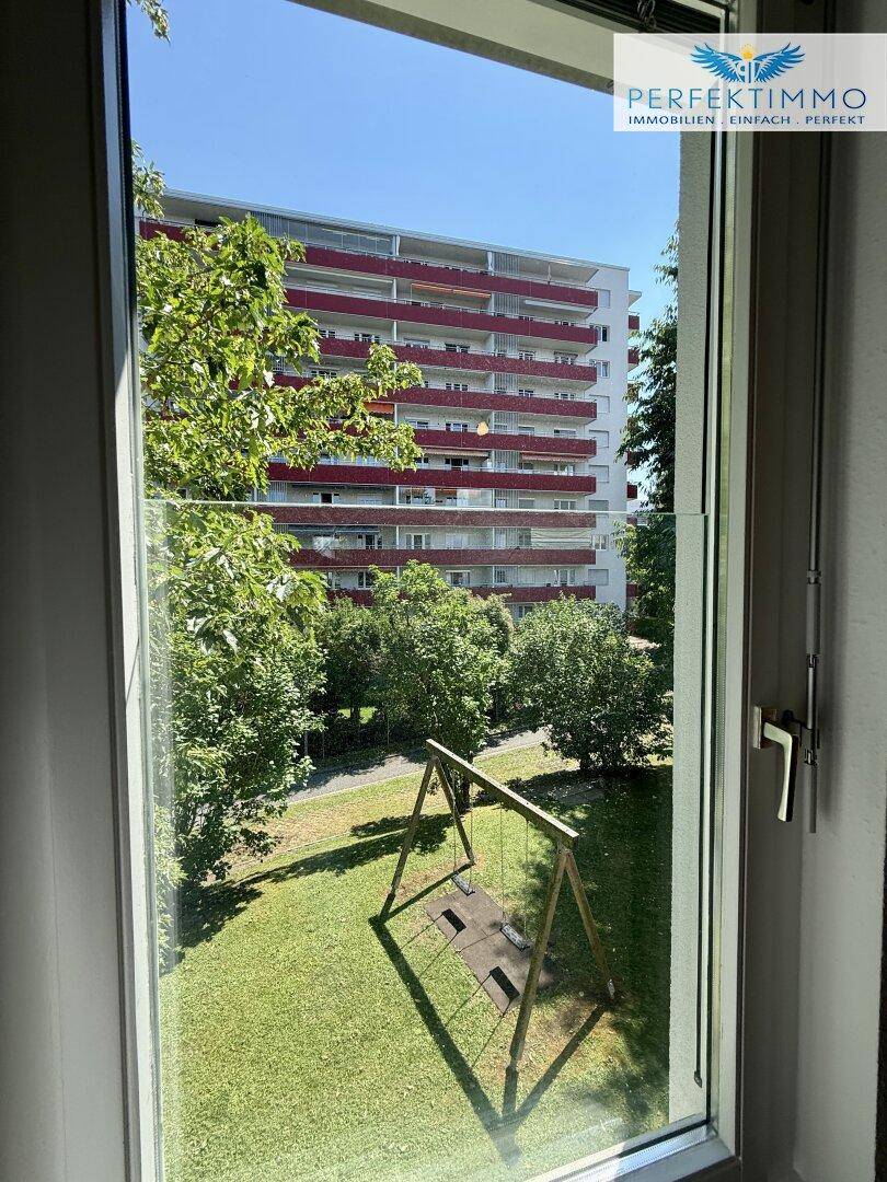 Blick aus dem Fenster auf ein Mehrfamilienhaus und einen grünen Gartenbereich.