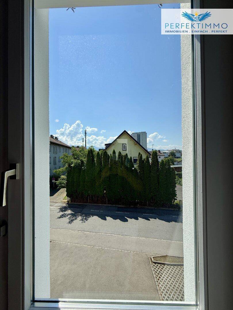 Ausblick aus dem Fenster auf eine ruhige Straße mit Bäumen und einem Wohnhaus.