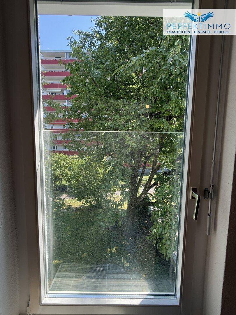 Ausblick aus dem Fenster auf grüne Bäume und ein Wohngebäude in der Ferne.