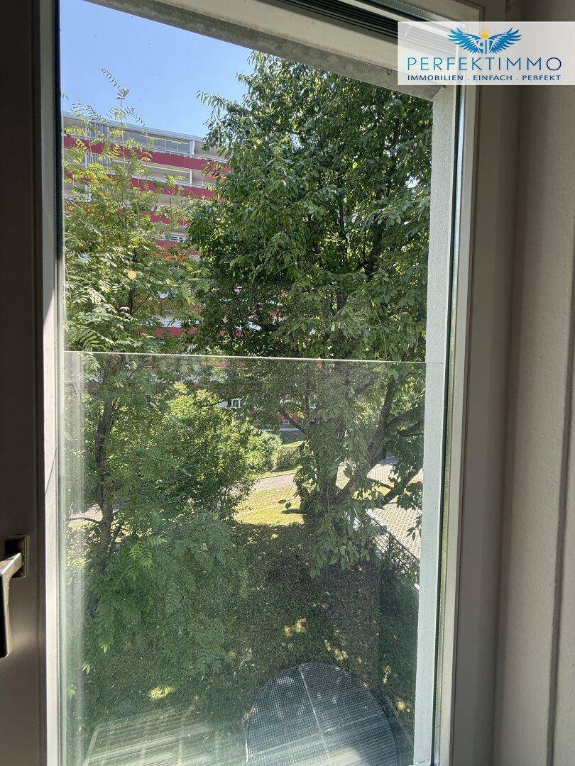Ausblick aus dem Fenster auf üppiges Grün und ein angrenzendes Gebäude.