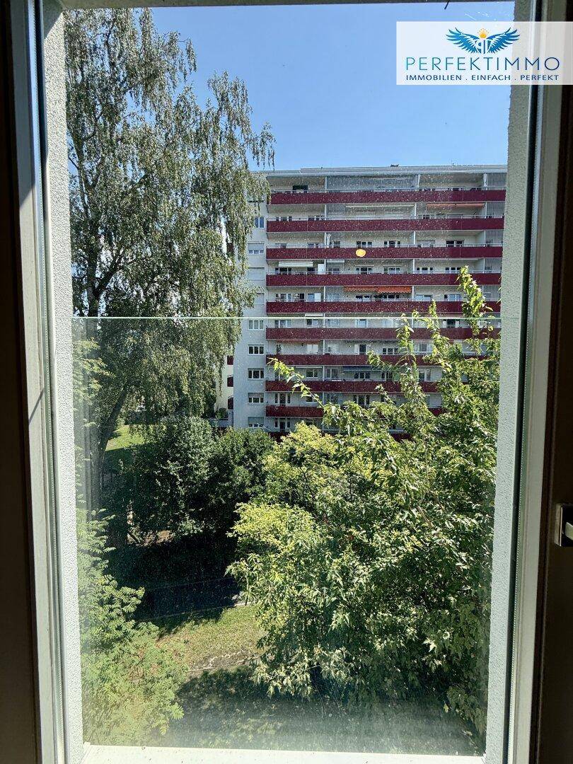 Blick aus dem Fenster auf ein gegenüberliegendes Gebäude und grüne Bäume.