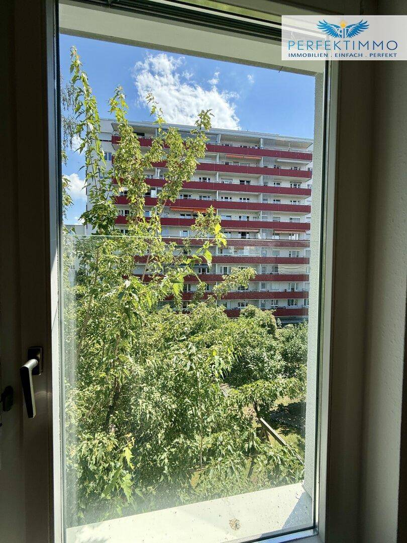 Blick aus dem Fenster auf ein gegenüberliegendes Gebäude und grüne Bäume.