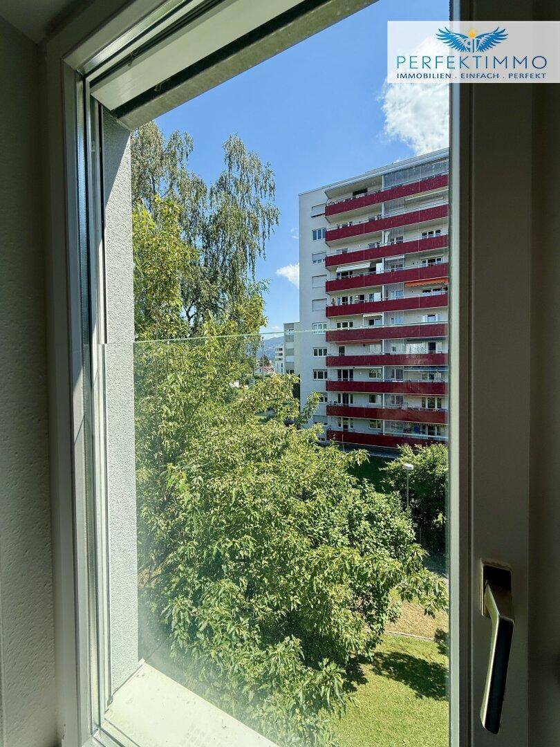 Blick aus dem Fenster auf Bäume und ein Wohngebäude in der Ferne.