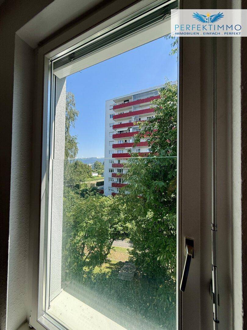 Ausblick aus dem Fenster auf ein modernes Gebäude mit Balkonen und umliegenden Bäumen.