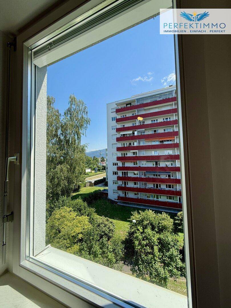 Blick aus dem Fenster auf ein gegenüberliegendes Wohngebäude und grüne Bäume.