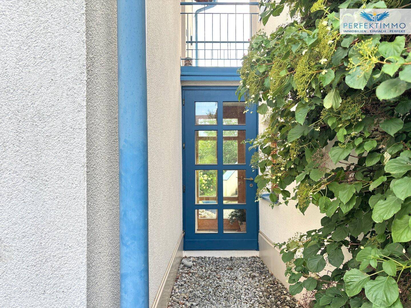Blauer Eingangsbereich mit Glastür, umgeben von üppigem Grün und einer Hauswand.