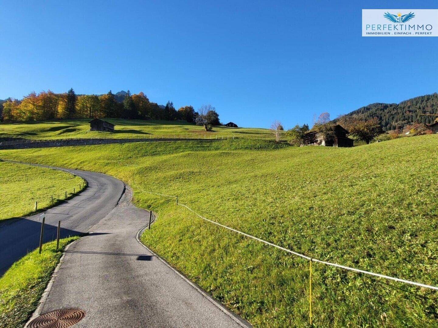 Geschwungener Weg durch grüne Hügel und Wiesen mit bewaldeten Bergen im Hintergrund unter strahlend blauem Himmel.