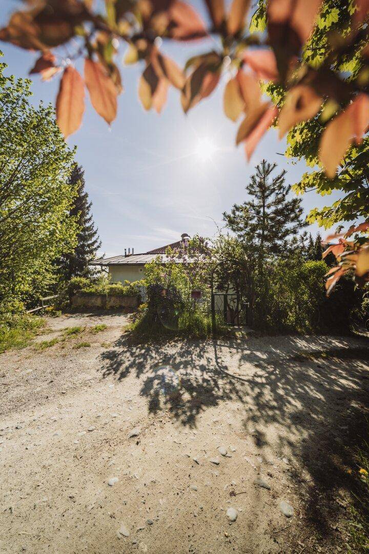 Sonniger Eingangsbereich des Hauses, umgeben von Bäumen und Sträuchern.