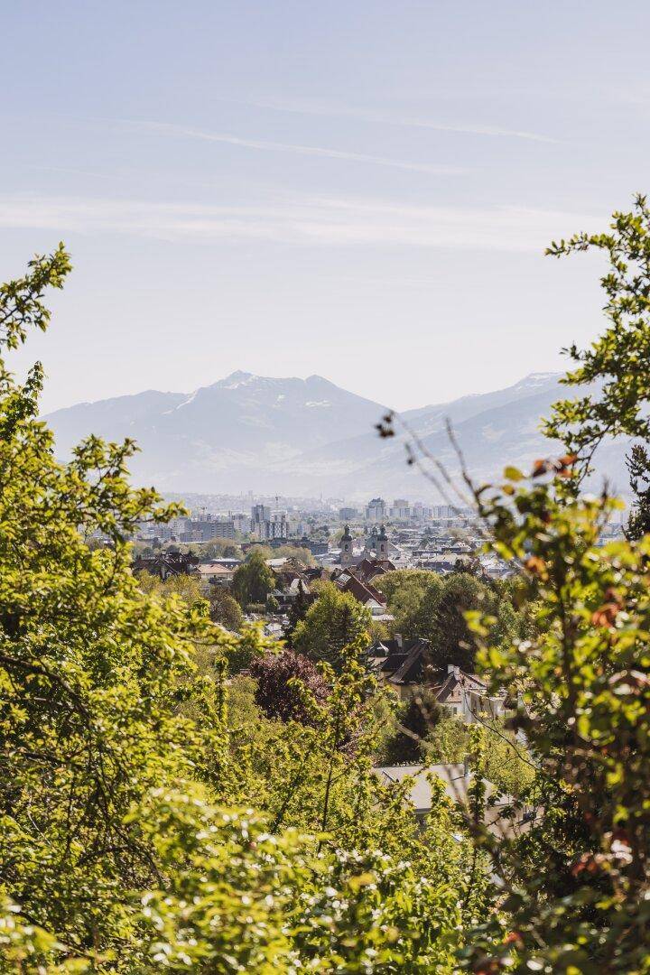 Panoramablick auf eine Stadt und die umliegende Berglandschaft durch Bäume.