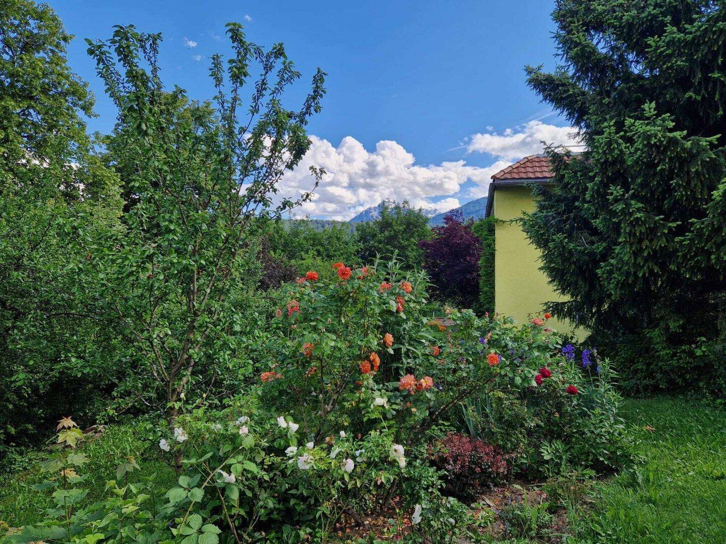 Farbenfroher Blumengarten mit verschiedenen Pflanzen und einem Haus im Hintergrund.