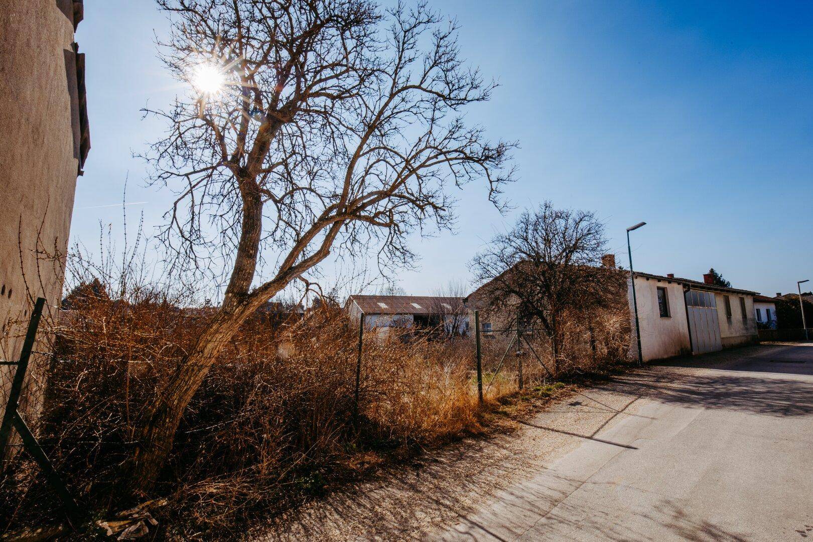 Entwicklungsobjekt im Ortsverbund mit seltener Widmung - Ansicht 3