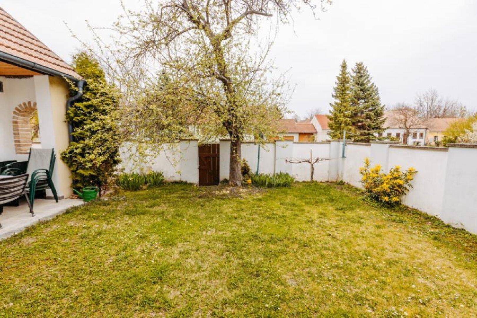 Grüner Gartenbereich mit Rasenfläche, Bäumen und einer kleinen Terrasse am Haus.