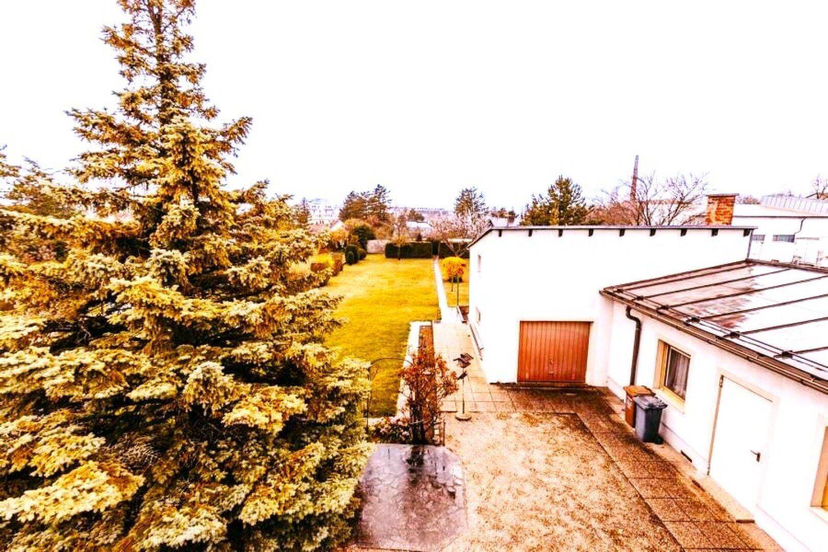 Blick auf den Garten mit großem Nadelbaum, gepflastertem Hof und einem Nebengebäude mit Garagentor.
