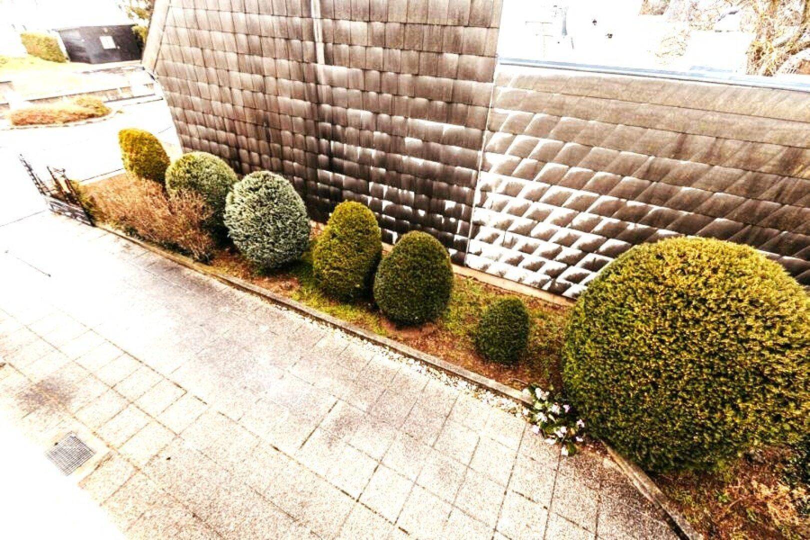 Kleiner, gepflegter Gartenbereich mit Ziersträuchern und gepflastertem Weg.