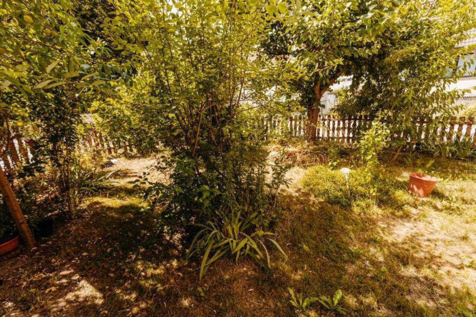 Grüner Gartenbereich mit Bäumen, Sträuchern und einem Holzzaun.
