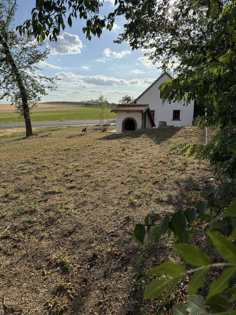 Weitläufige Außenansicht des Anwesens mit Feldern, Bäumen und dem Gebäude im Hintergrund.