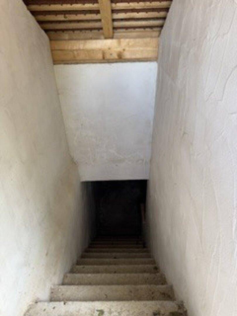 Treppenabgang in einen Kellerraum mit unverputzten Wänden und Holzdecke.