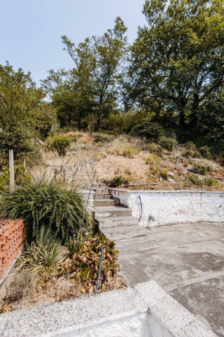 Steintreppe führt durch den naturbelassenen Gartenbereich mit üppiger Vegetation und Bäumen.
