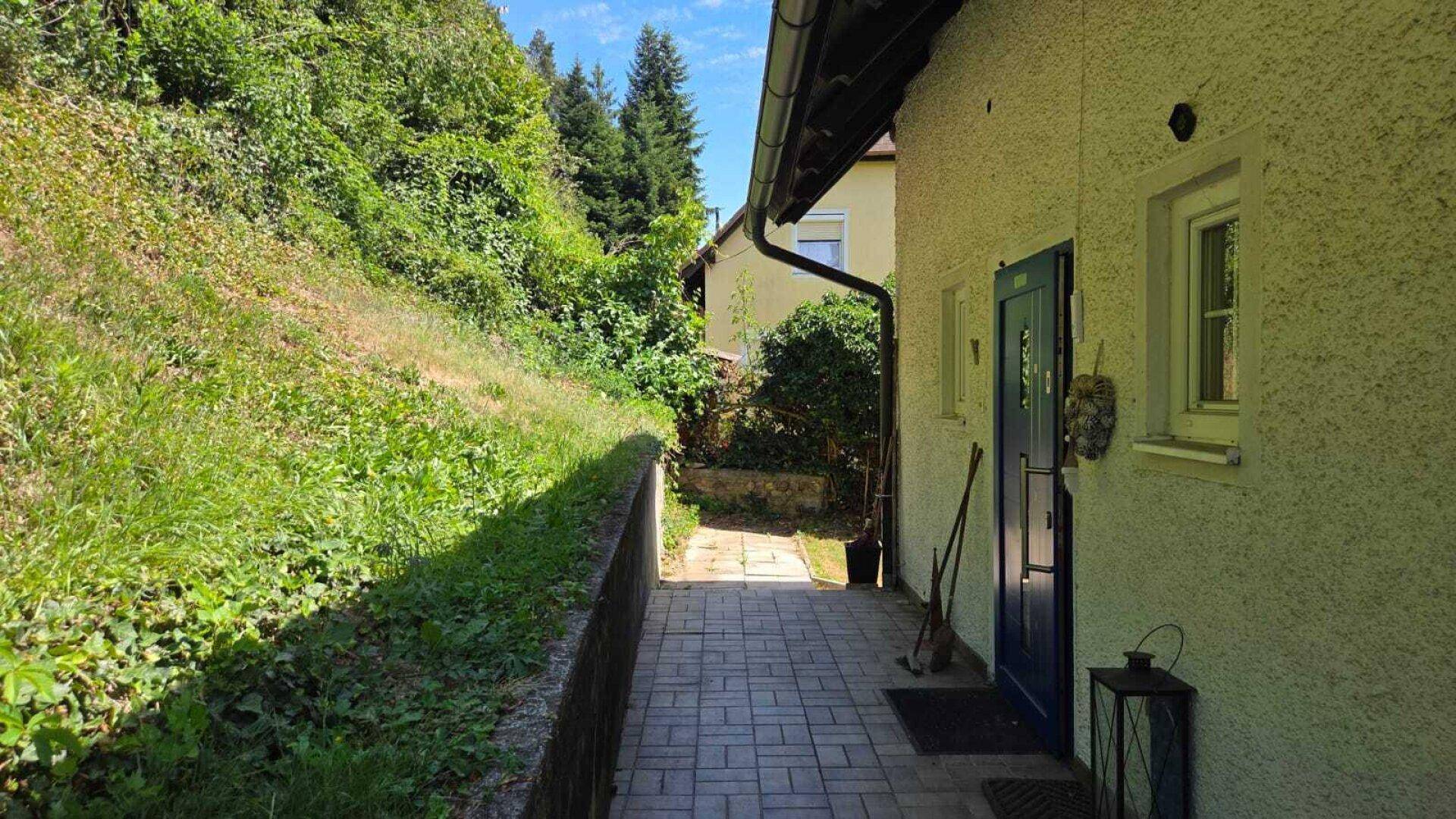 Slide 5
