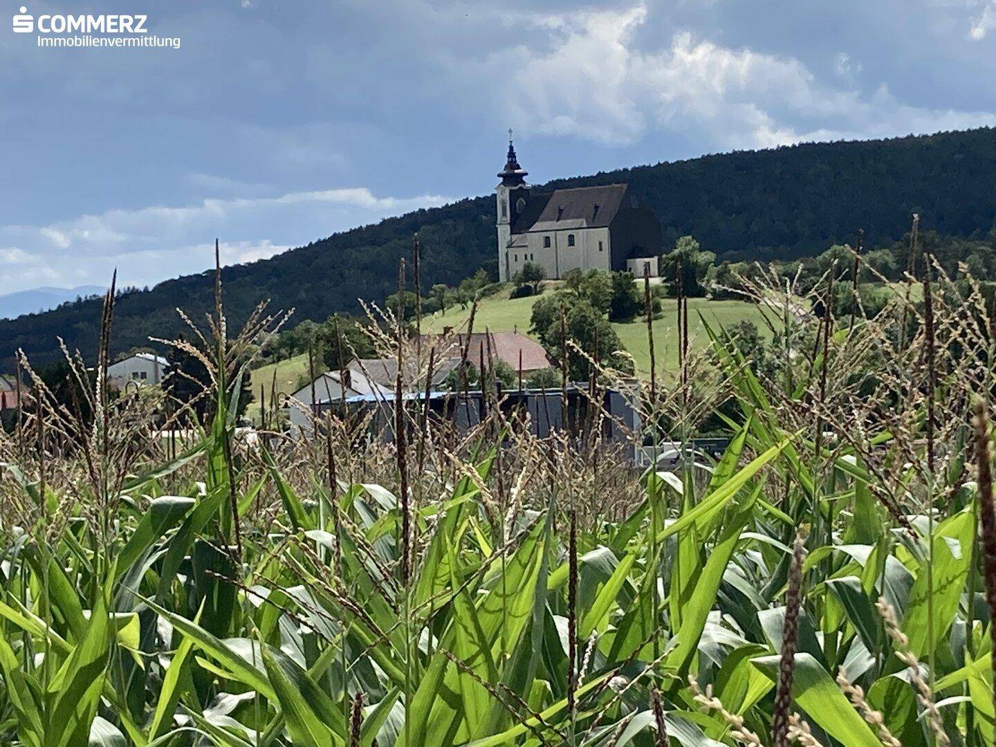 Blick auf Kirche von Höflein