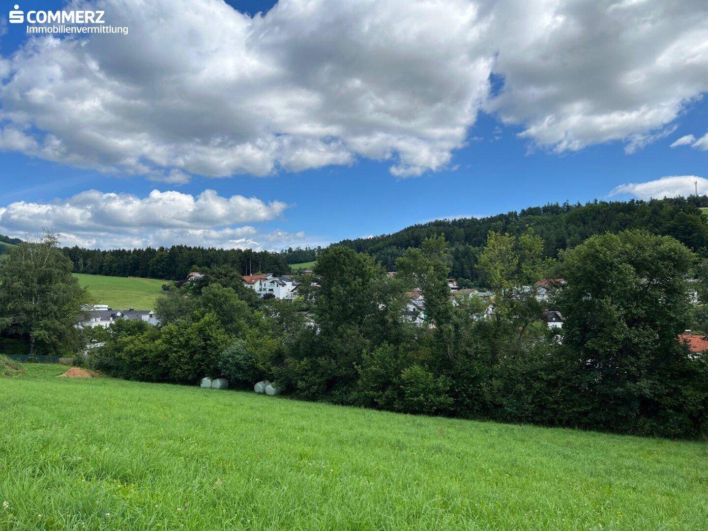 Weitläufige grüne Landschaft mit Feldern, Bäumen und Häusern in der Ferne unter blauem Himmel.