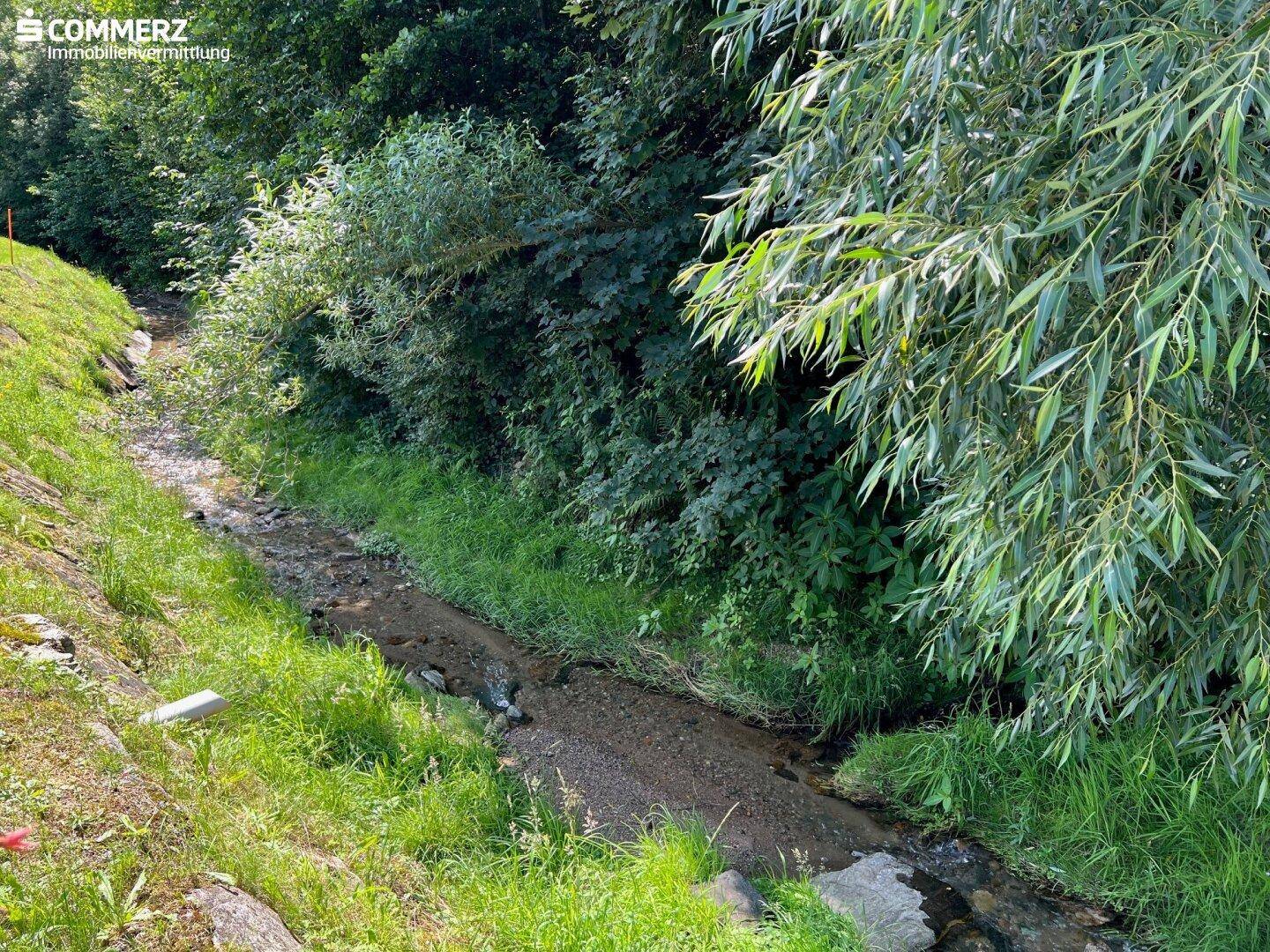 Kleiner Bachlauf schlängelt sich durch eine grüne, bewaldete Landschaft mit üppiger Vegetation und Bäumen.