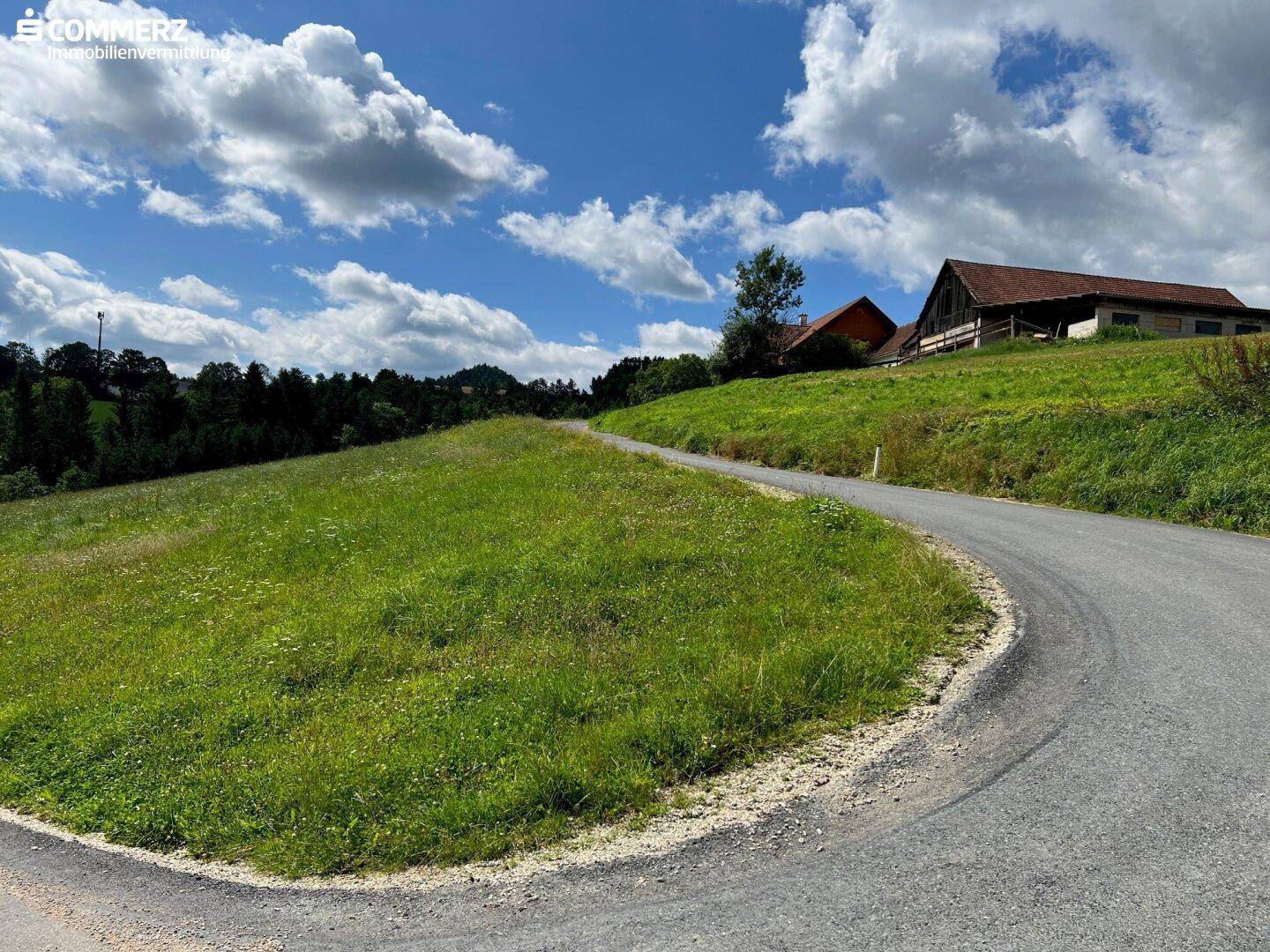 Kurvige Straße in einer idyllischen, grünen Hügellandschaft mit vereinzelten Gebäuden am Horizont.