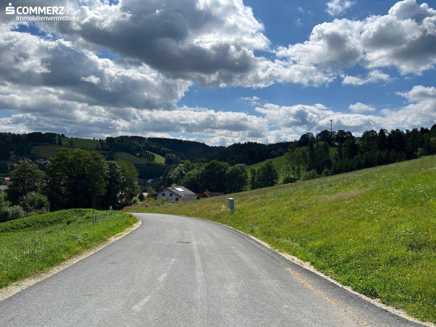 Geschwungene Straße führt durch eine hügelige, grüne Landschaft mit vereinzelten Häusern und Bäumen.