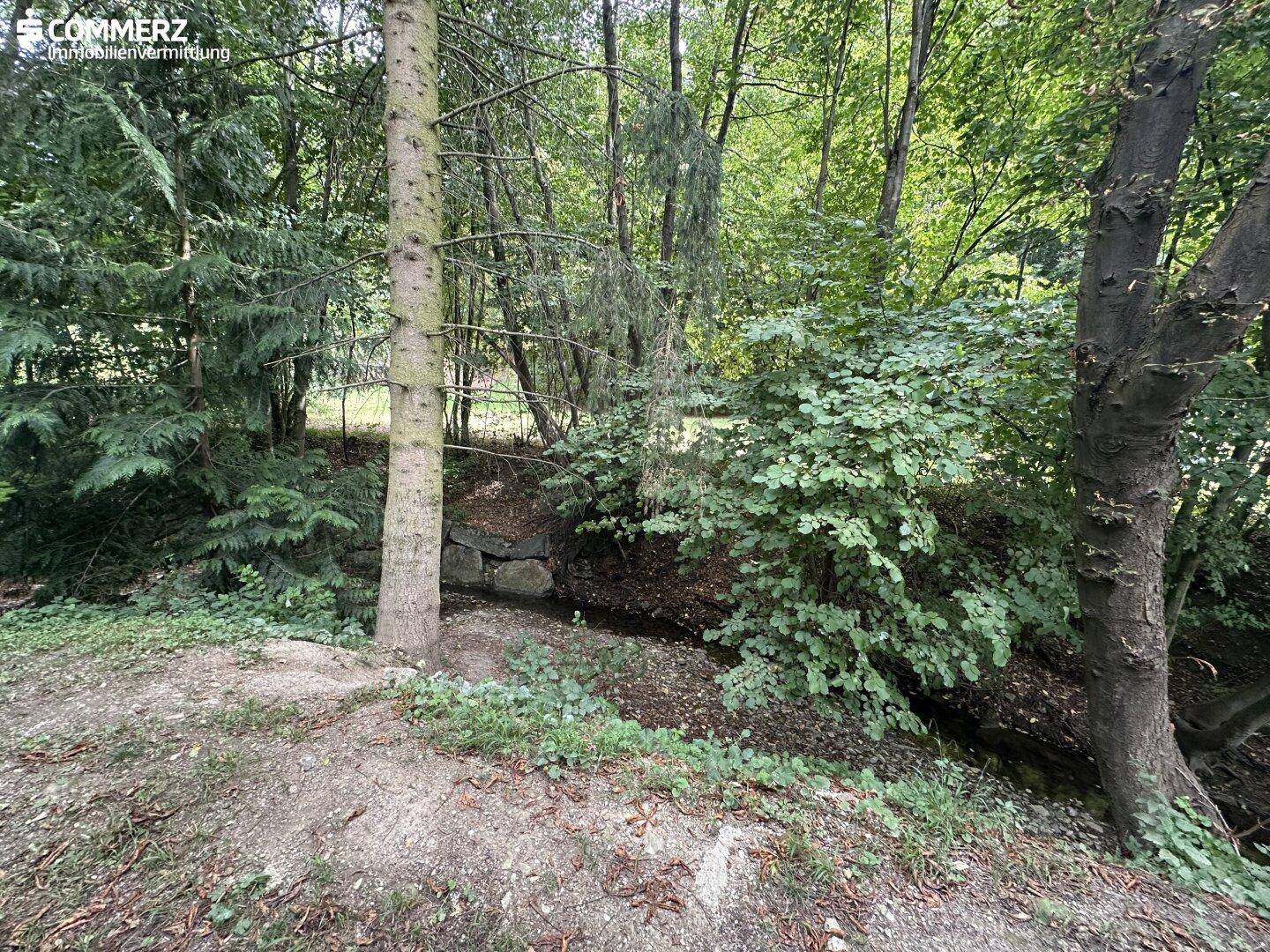 Grünblick