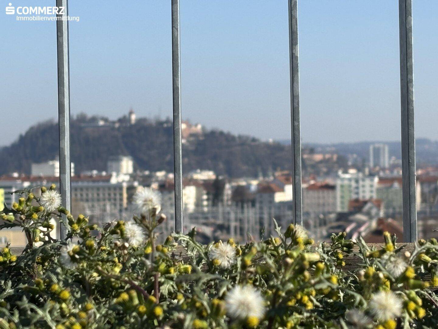 Panoramablick über die Stadt mit einer Burg auf dem Hügel und blühenden Pflanzen im Vordergrund.