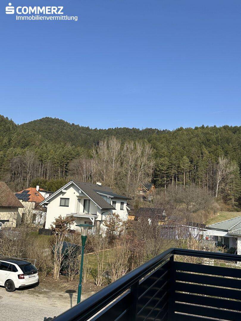Panoramablick vom Balkon auf die bewaldeten Hügel und die umliegende Wohnsiedlung.