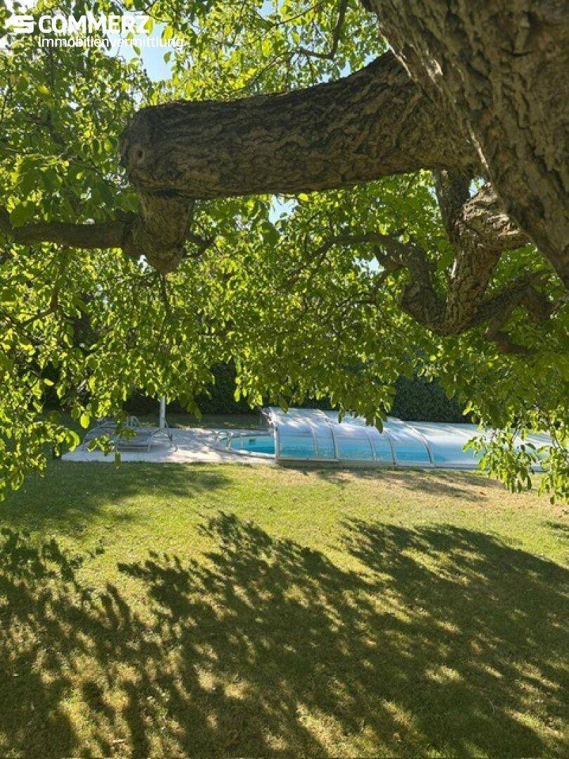 Blick auf den Swimmingpool im Garten, umrahmt von üppigem Grün und schattenspendenden Bäumen.