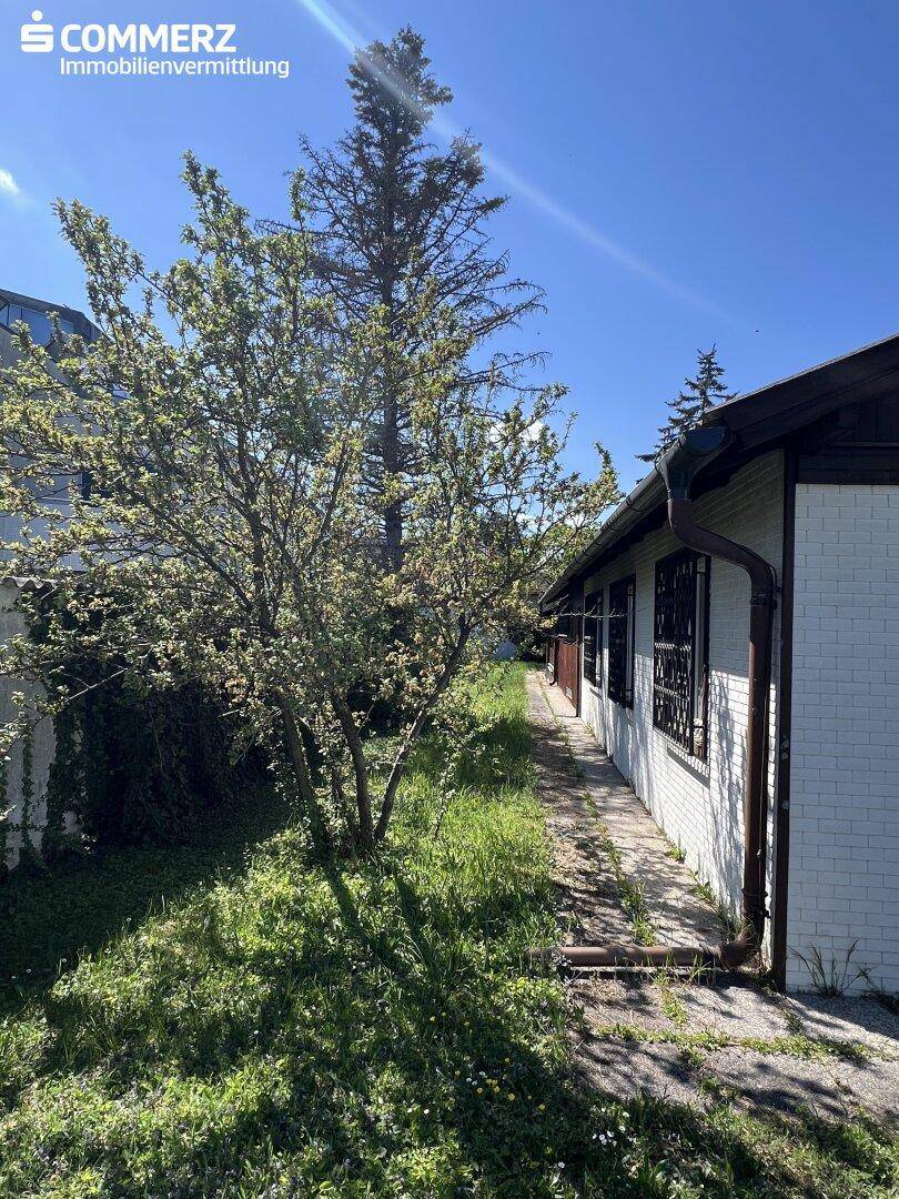 Seitenansicht des Hauses mit einem schmalen Weg und üppiger Vegetation.