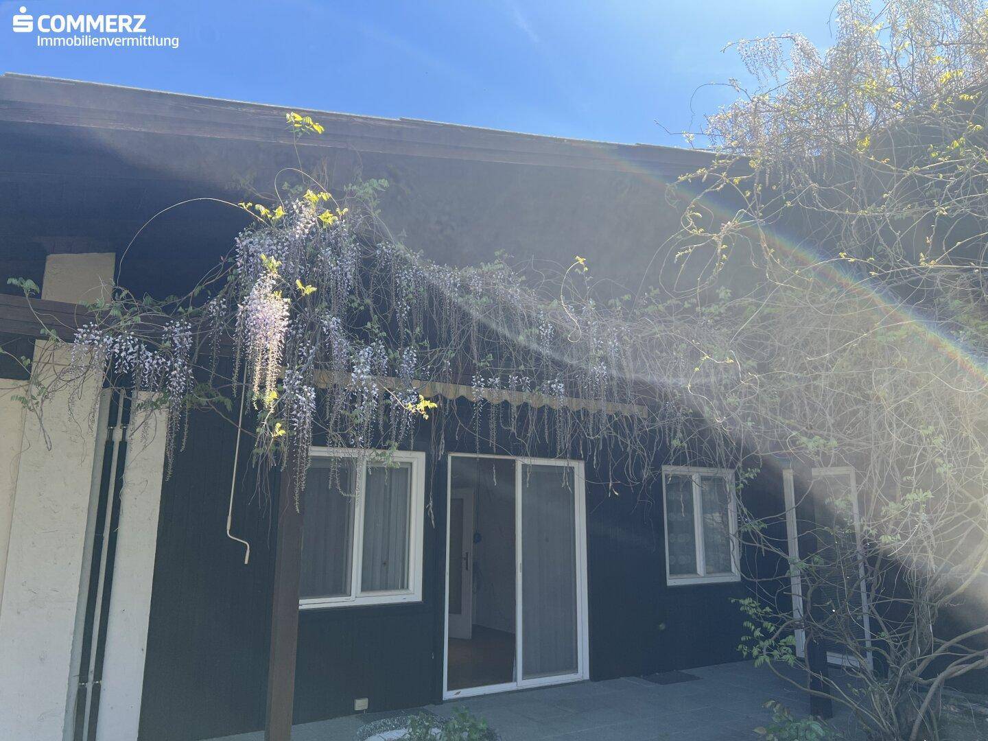 Terrasse mit blühendem Blauregen und Zugang zum Haus, ideal für entspannte Stunden im Freien.
