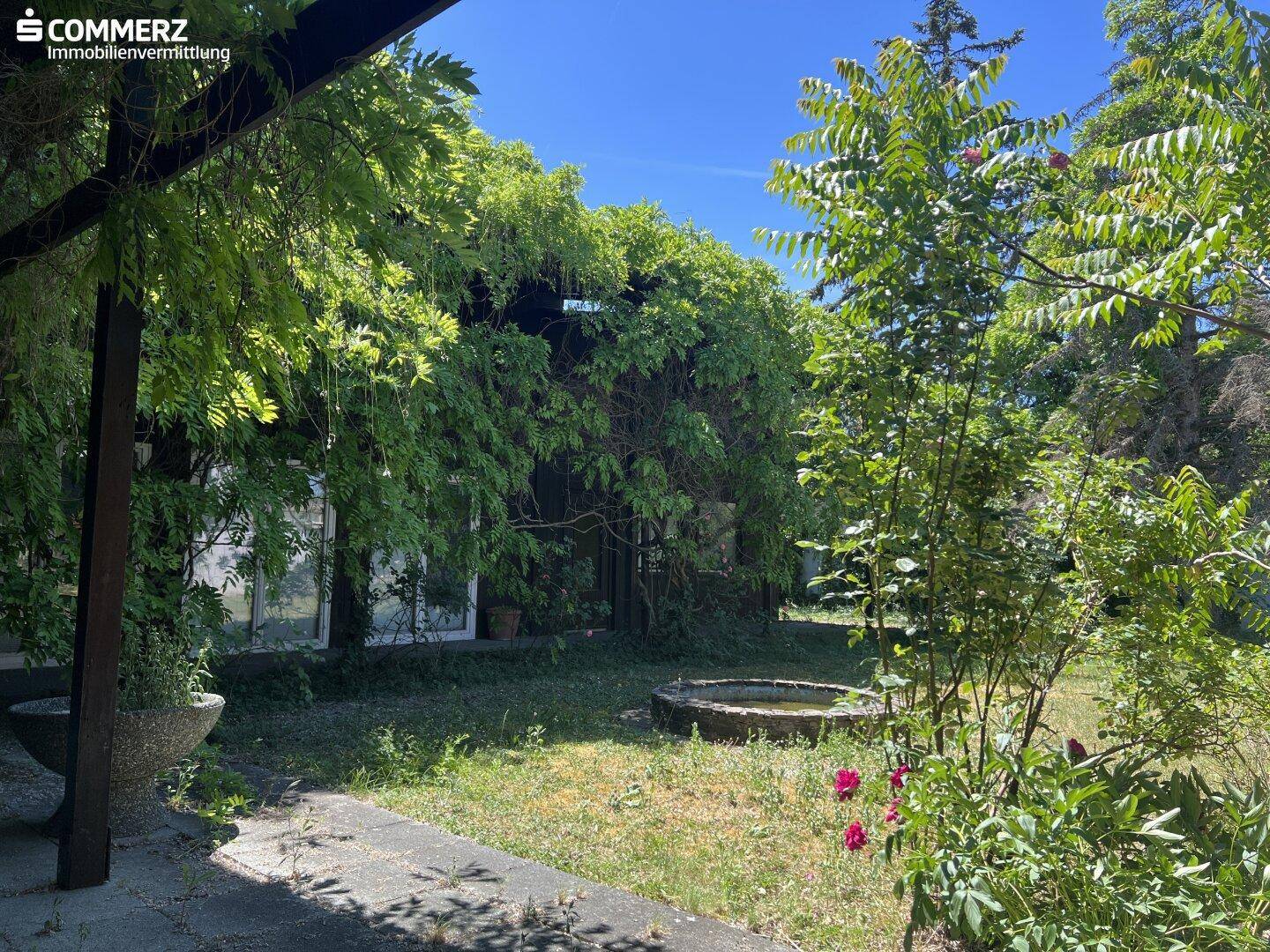 Üppiger Gartenbereich mit viel Grün, bewachsenen Pergolen und einem kleinen Teich unter blauem Himmel.