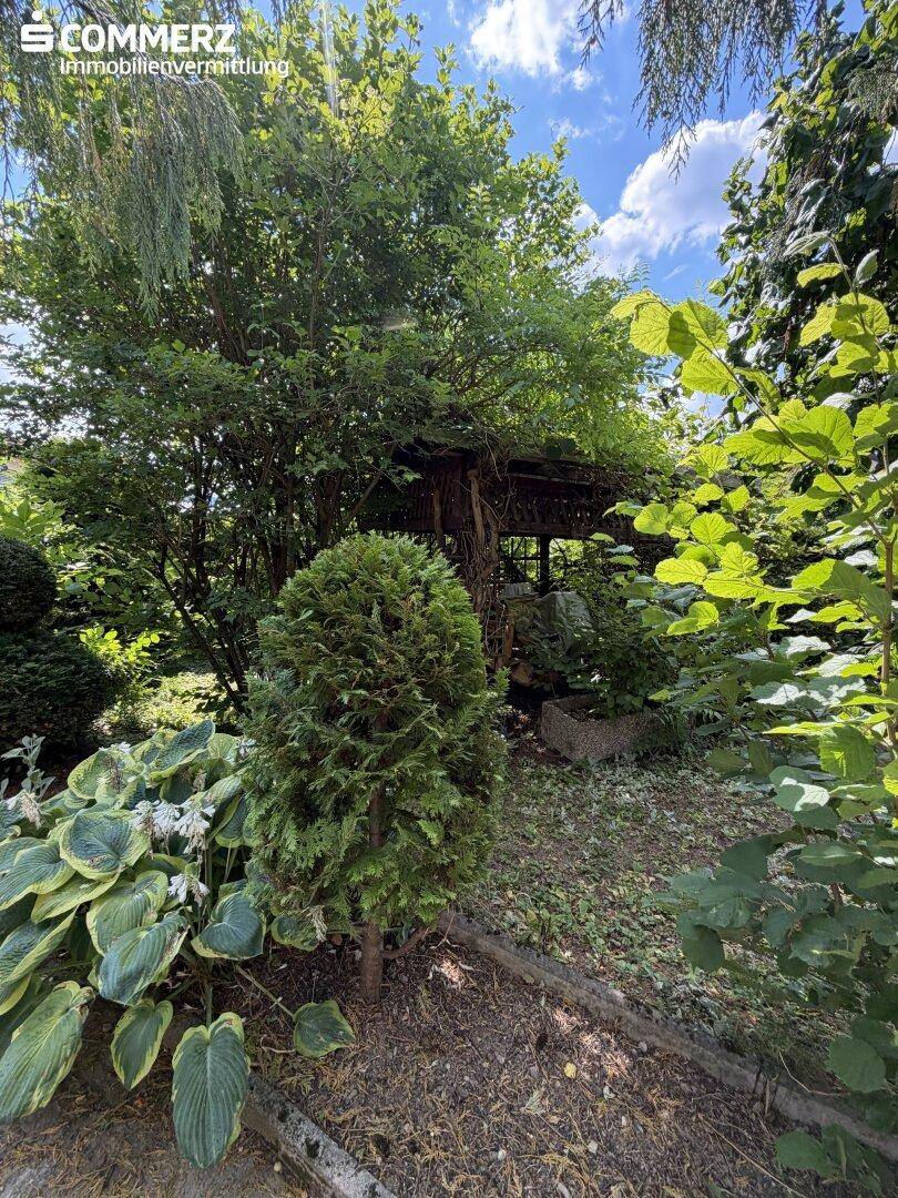 Üppiger Garten mit dichtem Grün, Bäumen und einer versteckten Gartenlaube im Hintergrund.