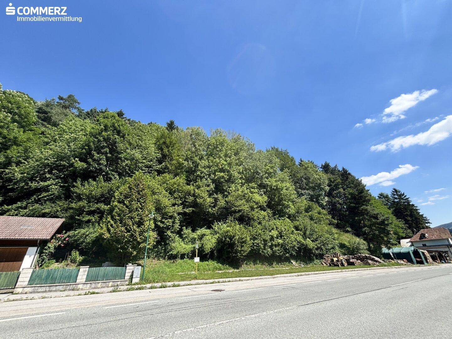 Blick auf die Straße, einen bewaldeten Hang und ein kleines Gebäude am Straßenrand.