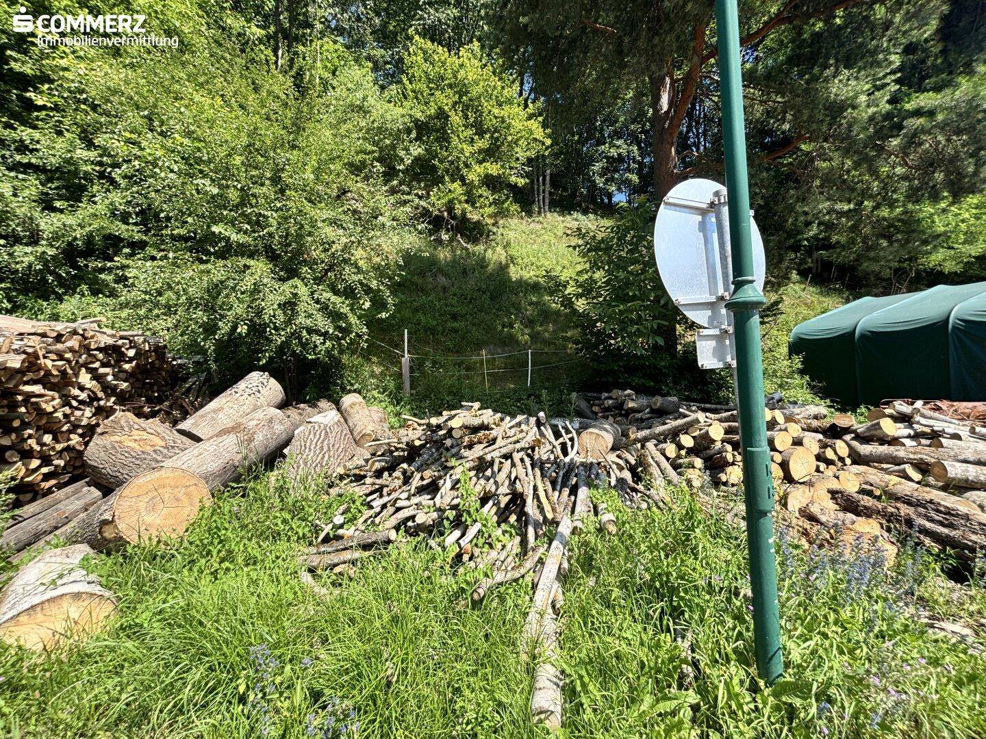 Nahaufnahme eines grasbewachsenen Bereichs mit Holzstapeln und dichtem Baumbestand im Hintergrund.