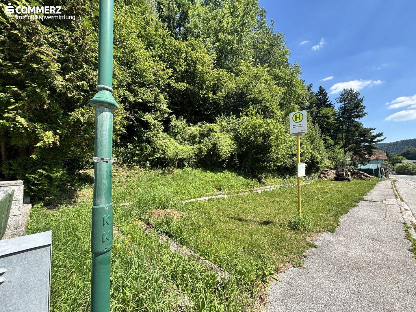 Außenansicht mit Straße, Grünfläche, Bäumen und einer Bushaltestelle.