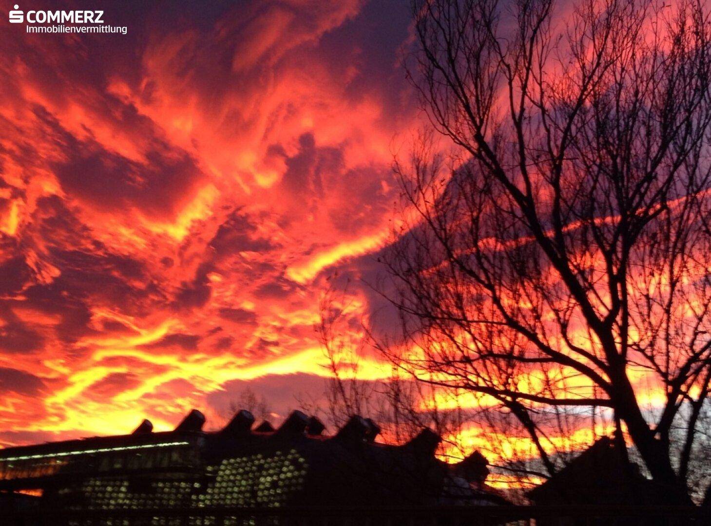 Spektakulärer Sonnenuntergang mit leuchtend roten und orangefarbenen Wolken über einer Silhouette von Bäumen.
